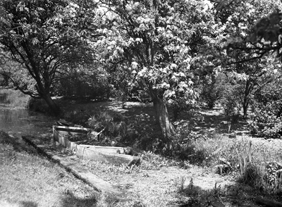 821083 Afbeelding van een sloot met een bootje, mogelijk in de omgeving van Bunnik.